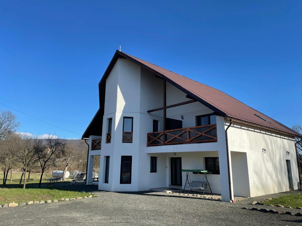 Pensiunea Rnb Maramures Surdesti  Extérieur photo