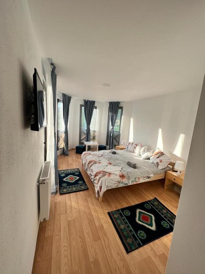 Pensiunea Rnb Maramures Surdesti  Extérieur photo